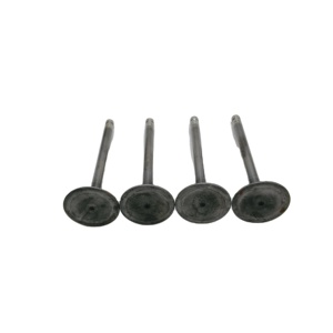Válvulas de Admisión/Escape de Acero Tratado Térmicamente A51 para Motor Xichai OE WX4102, para Camiones Ligeros/Agrícolas - Product Image 1