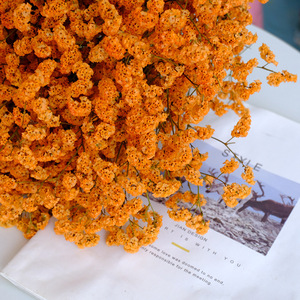 Flores Decorativas, <span class=keywords><strong>Limonium</strong></span> Preservado, Flores Secas, Hierba de Cristal Eterna para Decoración del Hogar - Product Image 5