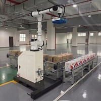 Brazo Robótico Colaborativo Industrial para Paletización, Programación Flexible para Apilamiento Automático de Cajas, Logística de Almacenes de Comercio Electrónico