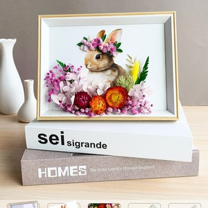 Décoration d'intérieur pour cadres photo, fleurs séchées pressées, coquillages, souvenirs, artisanat, médailles, billets, cadres photo - Product Image 4