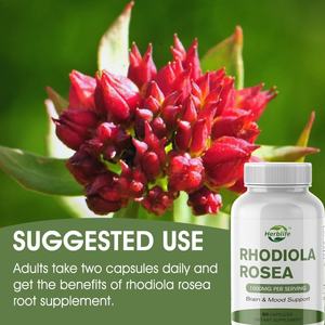 Cápsulas de Extracto de Raíz de Rhodiola Rosea, Suplementos Herbales de Venta Caliente OEM ODM - Product Image 4