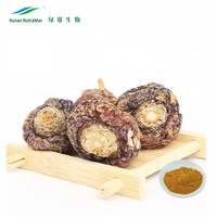 Poudre de racine de Maca naturelle, approvisionnement d'usine