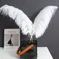 Plumes d'oiseaux colorées de 45-50 cm, d'origine sud-africaine, en véritable plume d'orange, pour décoration de carnaval, grandes plumes blanches pour la confection de chapeaux et la décoration de mariage