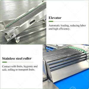 Máquina de clasificación, limpieza, encerado y lavado para patatas, aguacates, nueces de areca, tomates, zanahorias, frutas secas y productos de secado artificial - Product Image 5