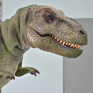 Modèles animatroniques réalistes de haute qualité personnalisés, Jurassic <span class=keywords><strong>Park</strong></span>, modèle de dinosaure, animatroniques d'Halloween, Jurassic <span class=keywords><strong>Park</strong></span> - Product Image 1
