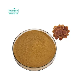 Factory Supply High Quality Korean Red Ginseng Extract Red Ginseng Powder