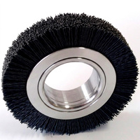 Brosse à fil de nylon abrasive avec carbure de silicium