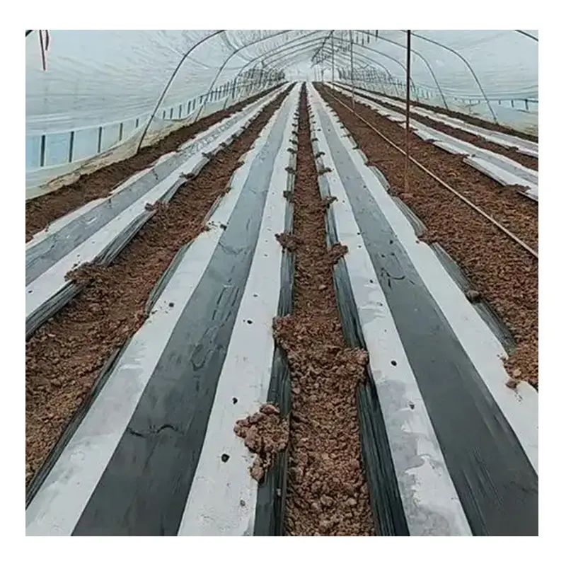 농업 야채 작물 성장 뿌리 덮개 필름 퇴비 블랙 플라스틱 생분해 성 멀칭 필름