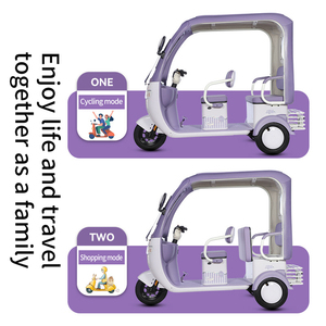 <span class=keywords><strong>Tricycle</strong></span> Électrique Paige : Véhicule Chinois Compétitif pour Enfants, Moto Cargo à 3 Roues - Product Image 3