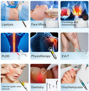 Laser Endoskin lifting du <span class=keywords><strong>visage</strong></span> 980nm Lipo vérifier ascenseur Fiber élimination des graisses perte de poids corps sculptra Endolaser laser médical facial - Product Image 6