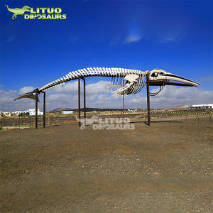 <span class=keywords><strong>Esqueleto</strong></span> de <span class=keywords><strong>Ballena</strong></span> de Tamaño Real para Exhibición en Museo, Vida Marina - Product Image 6