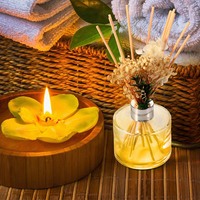 Bouteilles de diffuseur de roseau en verre rond plat vide classique de 50ml 100ml 150ml 200ml