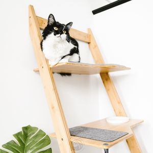 Étagère à chat moderne en bambou, à deux niveaux, surélevée, avec bol en céramique, tapis doux, grattoir en jute pour usage intérieur - Product Image 2