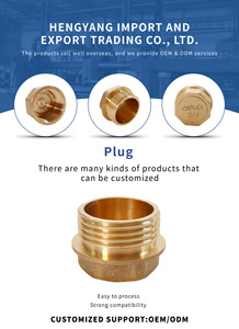 Bouchon de tuyau à filetage mâle femelle en laiton Systèmes de plomberie/CVC en laiton Durabilité des conduites d'eau/d'<span class=keywords><strong>air</strong></span> - Product Image 3
