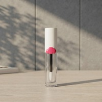 Bouteilles transparentes pour emballages de gloss à lèvres DIY, pour recharges de correcteur et de rouge à lèvres, tubes de gloss à lèvres vides avec grandes pointes de pinceau