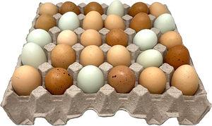 再生纸浆纸制蛋托盒可生物降解30格包装盒，适用于鸡、鹌鹑、鸭蛋农场零售批发 - Product Image 6
