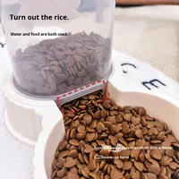 Distributeur automatique de nourriture pour animaux de compagnie, grande capacité, distributeur d'eau pour chien et chat, double usage, non électrique, conteneur de stockage de nourriture pour chien, PP