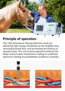 وضع بيطري مزدوج لتخفيف آلام الحيوانات وإعادة تأهيلها أو تخفيف آلام الحيوانات وإعادة تأهيلها - Product Image 3