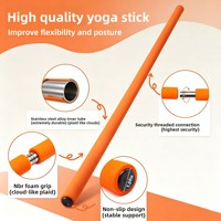 Oolong Disc Stick Fitness pour l'ouverture et l'amélioration de la posture dorsale, long, en acier inoxydable, détachable, pour étirements, yoga et arts martiaux