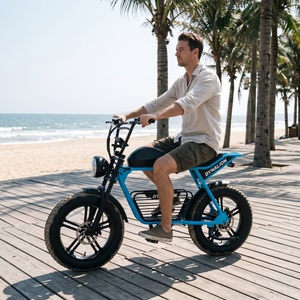 Bicicleta Eléctrica Todoterreno con Faro LED Grande, Bicicleta Eléctrica con Llantas Anchas para Paseos por la Costa y Vacaciones - Product Image 1
