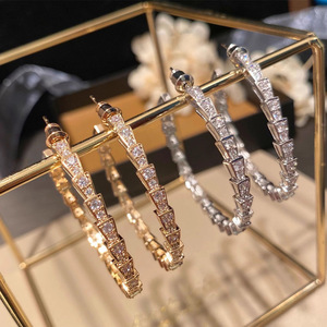 Orecchini Pendenti Geometrici alla Moda con Zirconi per Donne, Accessorio di Gioielleria Trendy - Product Image 1