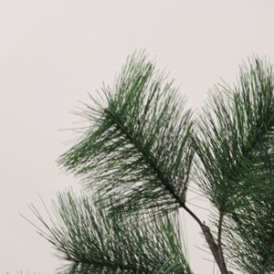 Foglie <span class=keywords><strong>di</strong></span> Pino Masson, Grandi Aghi <span class=keywords><strong>di</strong></span> Pino in Plastica, Decorazione Natalizia per Albero <span class=keywords><strong>di</strong></span> Pino, Pianta Artificiale Fatta a Mano per Interni, Fiore Finto - Product Image 3