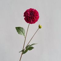 Sutra Berkualitas Tinggi Sentuhan Lembut Melembapkan Dahlia Berkepala Dua Tangkai Tunggal Ramah Lingkungan Pernikahan Rumah Hari Ibu