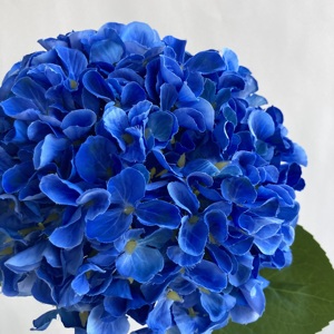 Hortensias de tallo largo coloridas de seda Anti UV de alta calidad, impresión 3D de un solo tallo, <span class=keywords><strong>flores</strong></span> de Hortensia artificiales, de un solo tallo, para uso en 2017 - Product Image 4
