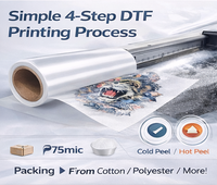 Rouleau de film de transfert DTF PET mat double face YinMeiDa avec pelage à froid pour impression par transfert thermique de haute qualité sur vêtements