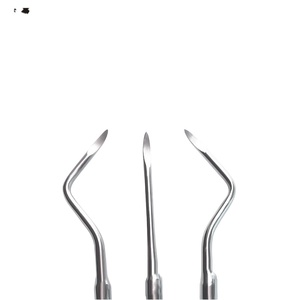 YP thép không gỉ nha khoa thang máy răng clareador cong gốc xử lý nha sĩ Dụng Cụ Phẫu Thuật dụng cụ nha khoa thang máy - Product Image 2