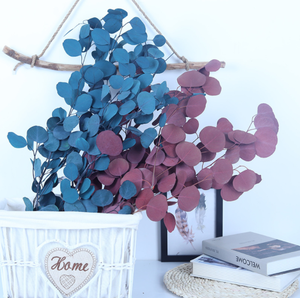 ช่อยูคาลิปตัสแอปเปิ้ลอบแห้ง - ผลิตจากโรงงานสำหรับทำพวงหรีดคริสต์มาส วันวาเลนไทน์ วันรับปริญญา ติดทนนาน 3-5 ปี - Product Image 3