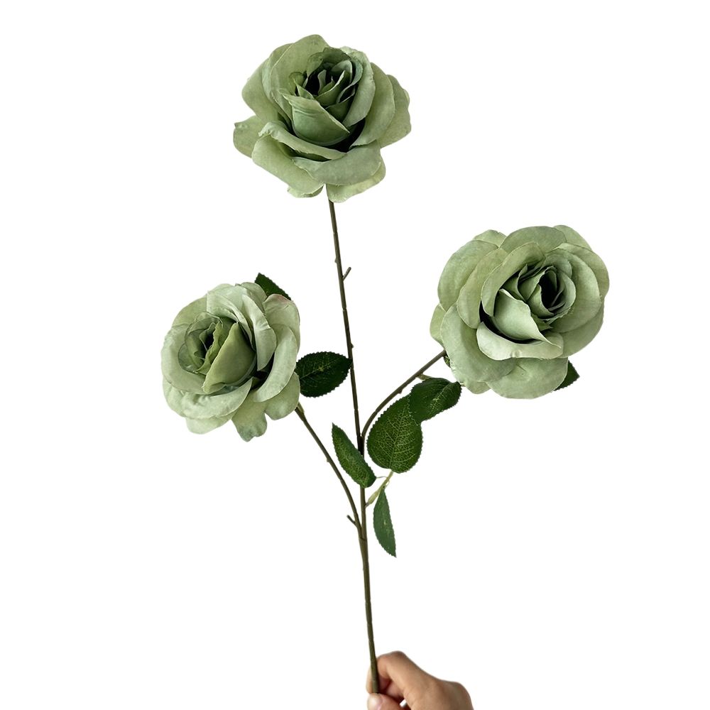 #2 3 drunken ma anna rose green