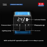 Pompe à air électrique pour voiture Dongcheng DCQE120D DC 12V avec pression maximale de 120 PSI pour pneus électriques