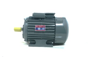 มอเตอร์เหนี่ยวนำเฟสเดียว BI-3-SPL-CI 5 แรงม้า 3.7 กิโลวัตต์ 210-230 โวลต์ 1440 รอบต่อนาที TEFC CSCR ฐานเหล็กหล่อ - Product Image 5