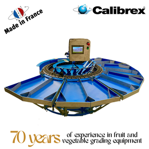 เครื่องชั่งน้ำหนักอเนกประสงค์ขนาดเล็ก CALIBREX ผลิตในฝรั่งเศส สำหรับผลไม้ขนาดเล็กถึงขนาดกลาง พร้อมโต๊ะยกแบบลูกกลิ้ง 10 ช่อง - Product Image 1