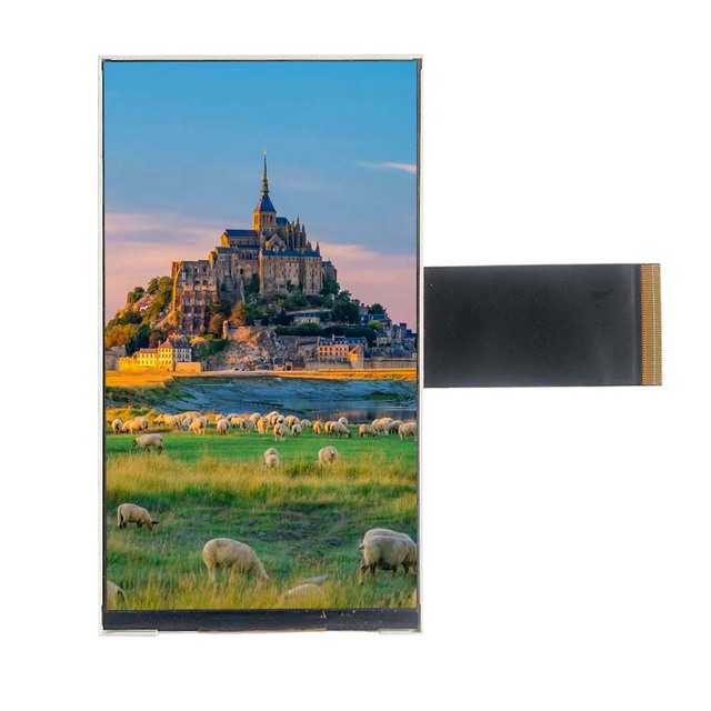 5 Inch TFT Lcd Display Module  350 Cd/m2 480x854 Resolution IPS All Viewing Direction ST7701 Driver Ic
