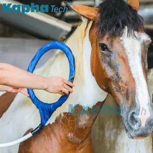 New technology products 2024 horse magnetic therapy pemf mat veterinary machine pmst loop for horses