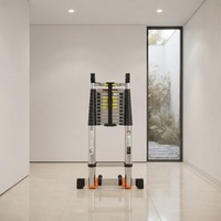Échelles télescopiques en acier inoxydable 1,7M+1,7M, design réglable, capacité de charge 150 kg, échelles-tabourets modernes et minimalistes