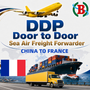 Agente de Carga Marítima DDP LCL Profesional de China a Francia, Servicio de Envío Puerta a Puerta, Agente Logístico, Transporte Marítimo - Product Image 1