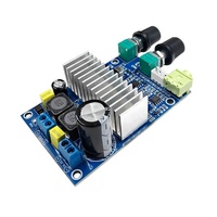 Module amplificateur audio stéréo et subwoofer haute puissance 100W TPA3116D2 Classe D, alimentation CC 12V-24V |   Amplificateur de basses pour le bricolage à domicile