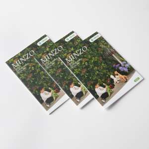 Impresión Offset <span class=keywords><strong>de</strong></span> Alta Calidad con Encuadernación Perfecta, Folleto/Cuadernillo en Papel Kraft con Acabado <span class=keywords><strong>de</strong></span> Superficie en Relieve - Product Image 4