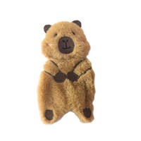 Jouets interactifs sonores personnalisés en gros pour chiens et chats, durables et résistants aux morsures, pour un jeu interactif