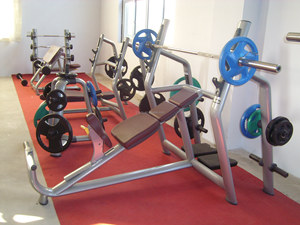 TZ-X6030 Find Similar Icon Certified Incline <strong>Bench</strong> Gym Fitness Equipment for Commercial 45 Degree Incline <strong>Weight</strong> <strong>Bench</strong> - Product Image 2