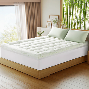 ที่นอนใยไผ่เย็นสบาย ซักเครื่องได้ ผลิตจากโรงงานโดยตรง  แผ่นรองหนาพิเศษแบบเย็บติดกัน สำหรับผู้ที่มีอาการปวด<span class=keywords><strong>หลัง</strong></span> - Product Image 1