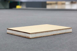 Panneau sandwich en <span class=keywords><strong>mousse</strong></span> PET <span class=keywords><strong>pour</strong></span> <span class=keywords><strong>camping</strong></span>-<span class=keywords><strong>car</strong></span>, panneau composite, panneaux légers <span class=keywords><strong>pour</strong></span> <span class=keywords><strong>camping</strong></span>-cars - Product Image 4