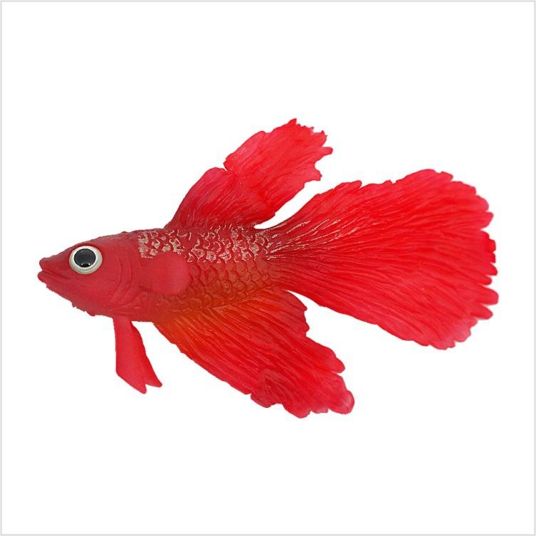 ปลา Betta - สีแดง