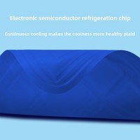 Couverture de matelas rafraîchissante à semi-conducteurs par refroidissement à l'eau, en PVC, pour usage estival, idéale pour les patients, les étudiants et les dortoirs