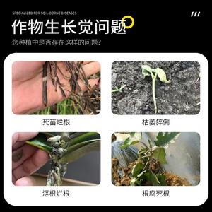 Source Factory Purificación rápida de raíces Fertilizante de flores Inhibidor de pudrición de raíces Base de raíces podridas Remedio Sellador de enfermedades del suelo - Product Image 4