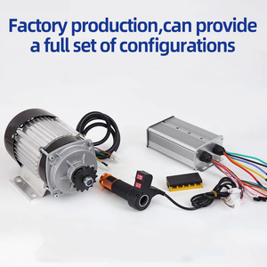 1000W không chổi than điện ba bánh đi giỏ hàng chuyển đổi động cơ kit nhỏ ba bánh đồ chơi động cơ điện xe kéo vuông sóng động cơ - Product Image 5