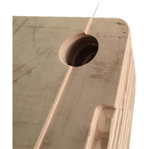 Prix usine Hêtre Transformateur d'huile PET Contreplaqué <span class=keywords><strong>collé</strong></span> Planches de bois stratifiées isolantes électriques Isolation à haute température - Product Image 4